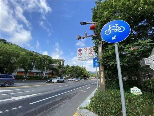 司機(jī)注意 西樵這個(gè)路段有新交通設(shè)施,對(duì)違停車(chē)輛進(jìn)行抓拍